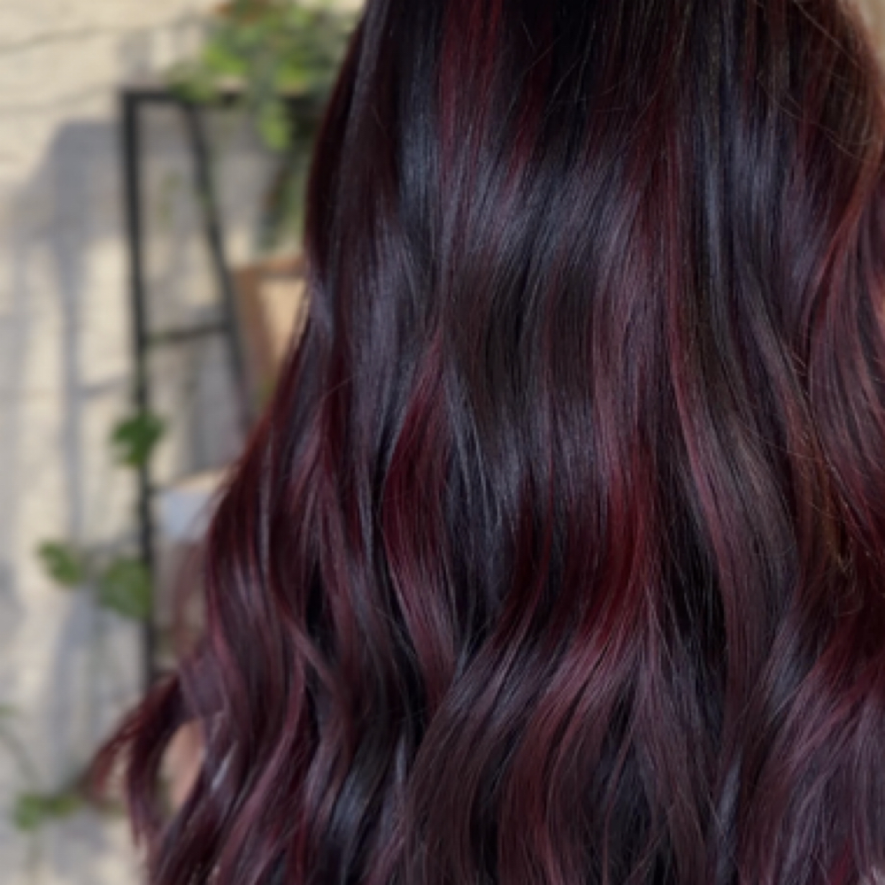 Color Consultation at MANEtain by Jenn in Cicero, IL