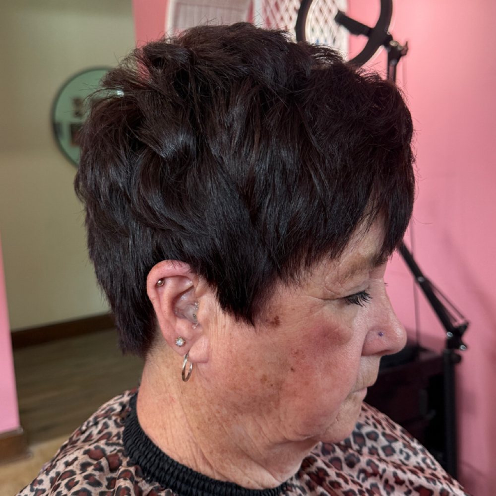 Root Touch Up at Kewpie Kutz in Evansville, IN