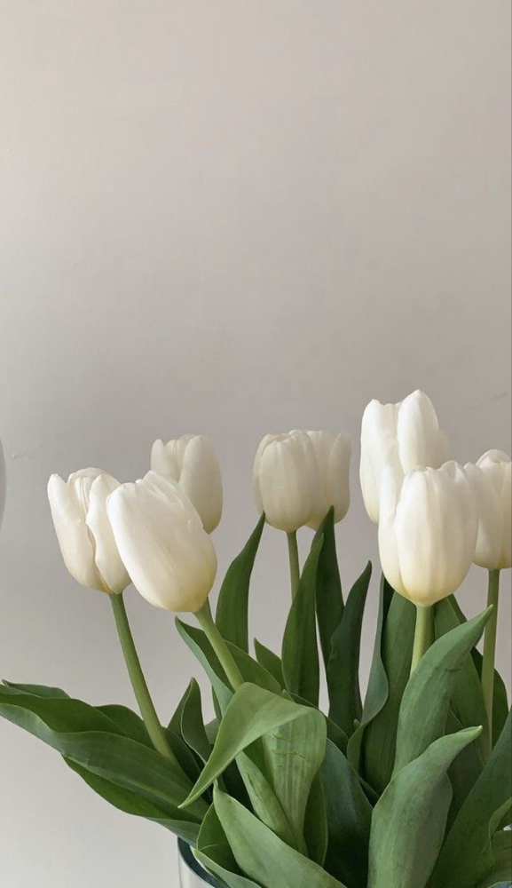 Spring Renewal Facial *LIMITED*