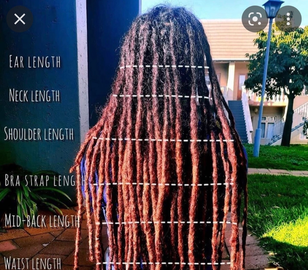 Adult Starter Locs Mid Back