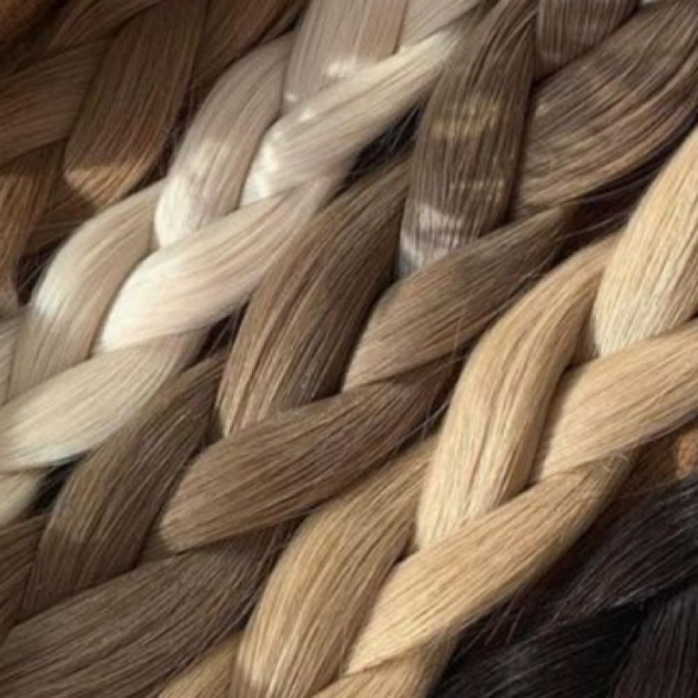 Dry Cut With Style at Golden Glam Salon by Morgan Shumate in Georgetown, KY