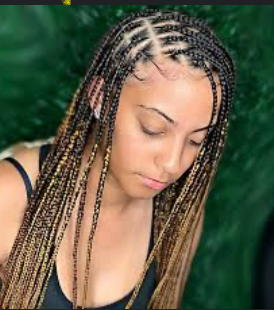 Crochet Knotless Box Briads