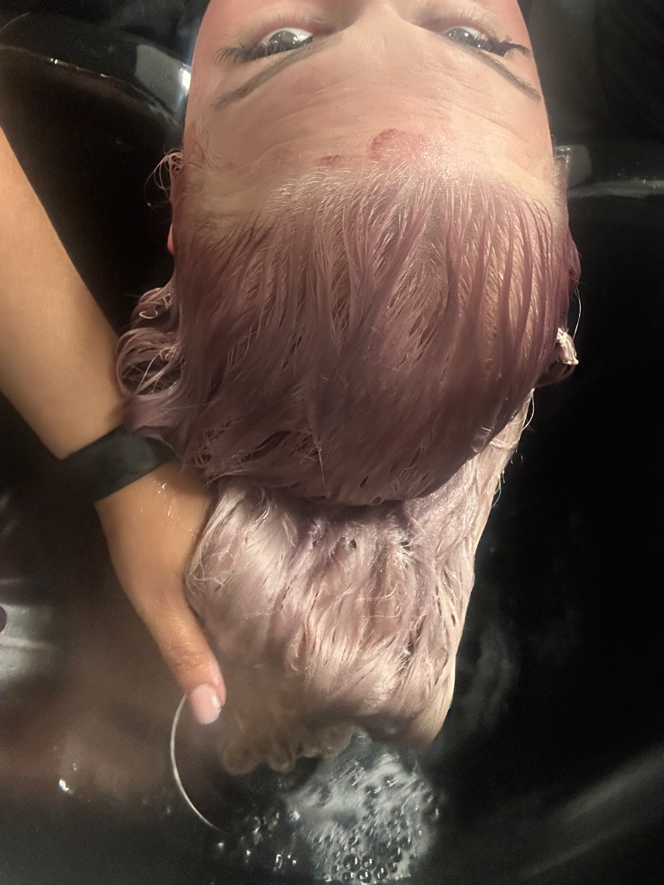 Toner and Style at Salon 33 in Hayward, CA