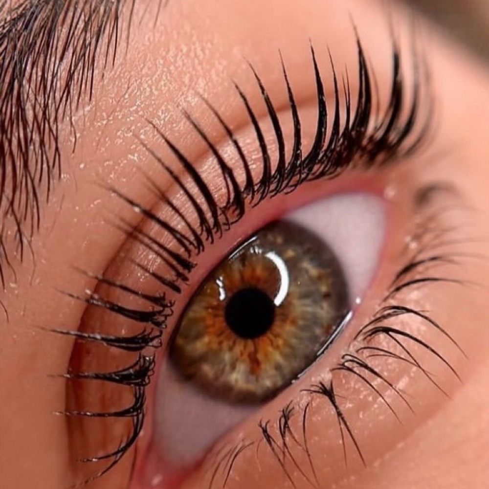 Lash Lift & Lash Tint