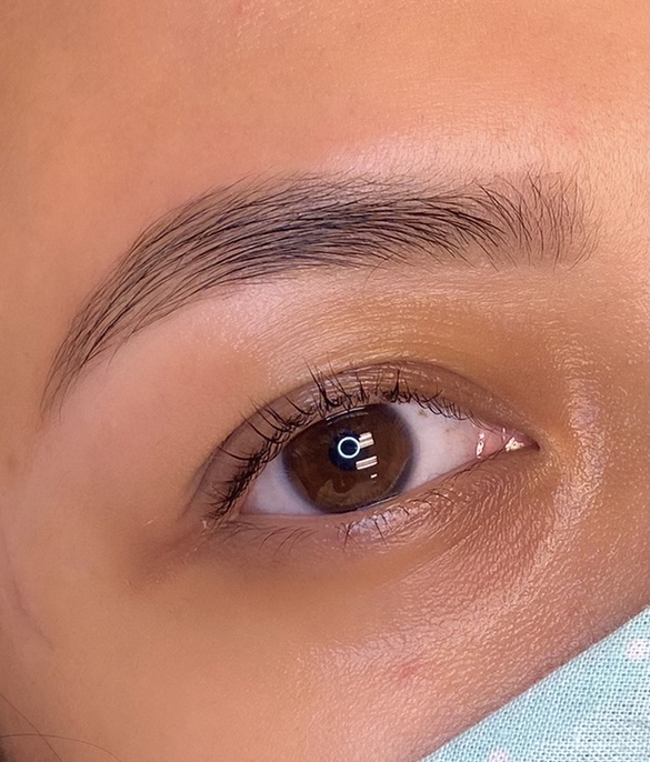 Signature Eyebrow Wax And Tint