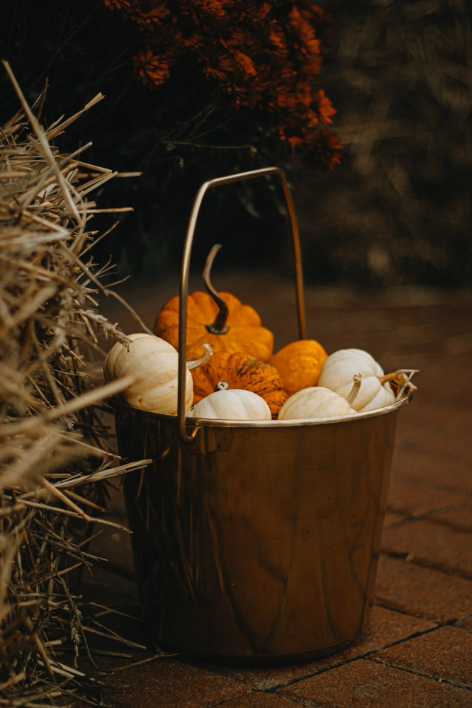 Pumpkin Spice Fall Facial