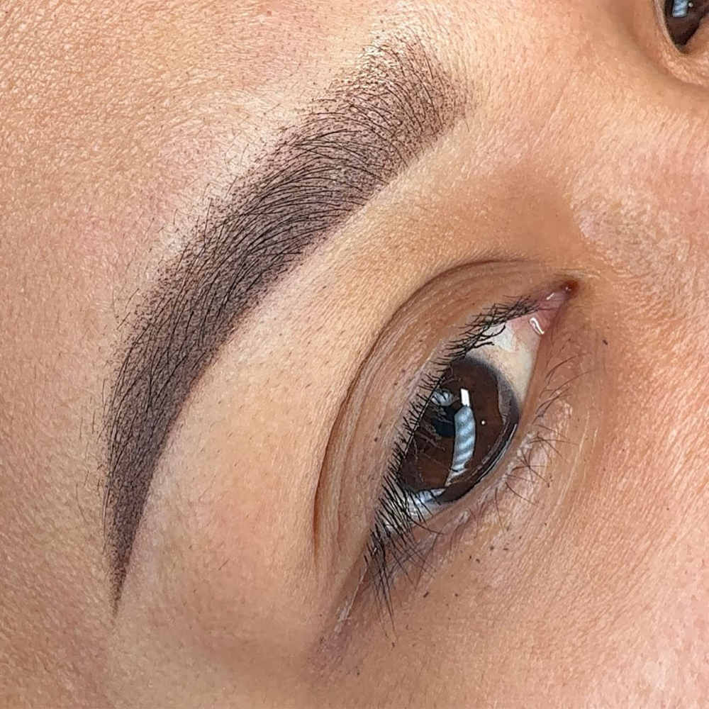 BROWS TOUCH UP 4-6 Weeks at AURORABROWS in Cocoa, FL