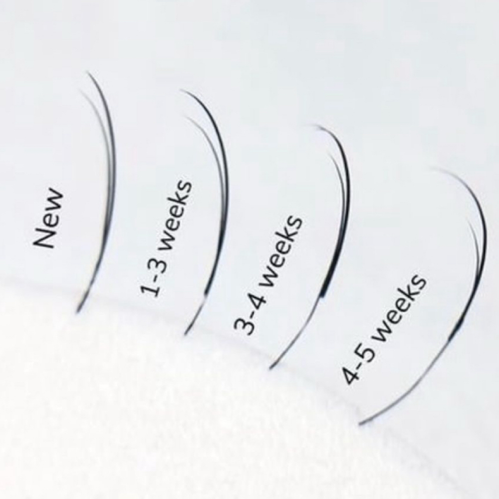 STANDARD LASH FILL (- 2.5WEEKS) at Sunday Studio Lash & Co. in Moraga, CA
