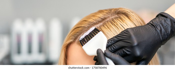 Root Touch Up Service