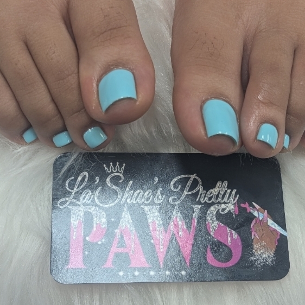 Pedicure Classic at LaShaea's Pretty Paws in Canton, OH