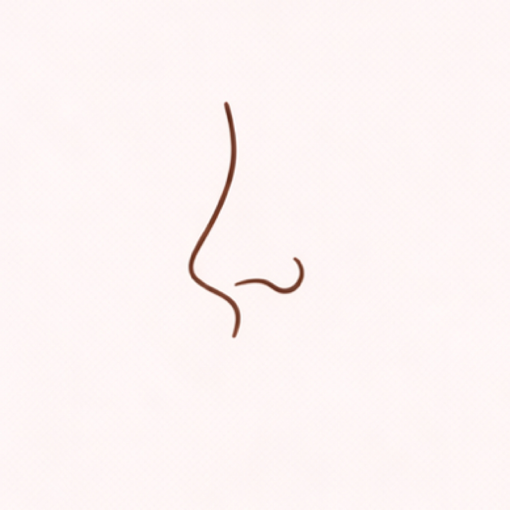 Nose Wax | Nariz at Caraluna Esthetics in Baton Rouge, LA