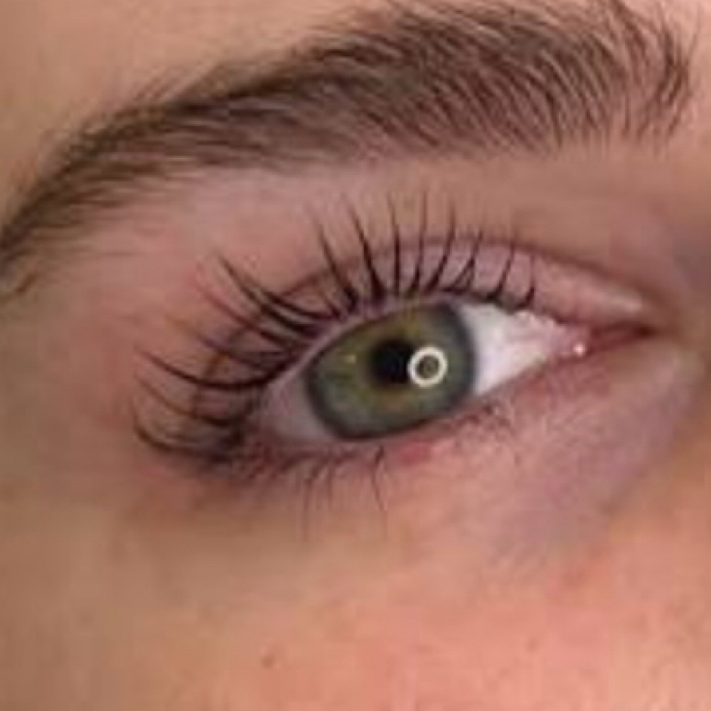 Eyelash Tint at THE BEAUTY LAND in Norwood, MA