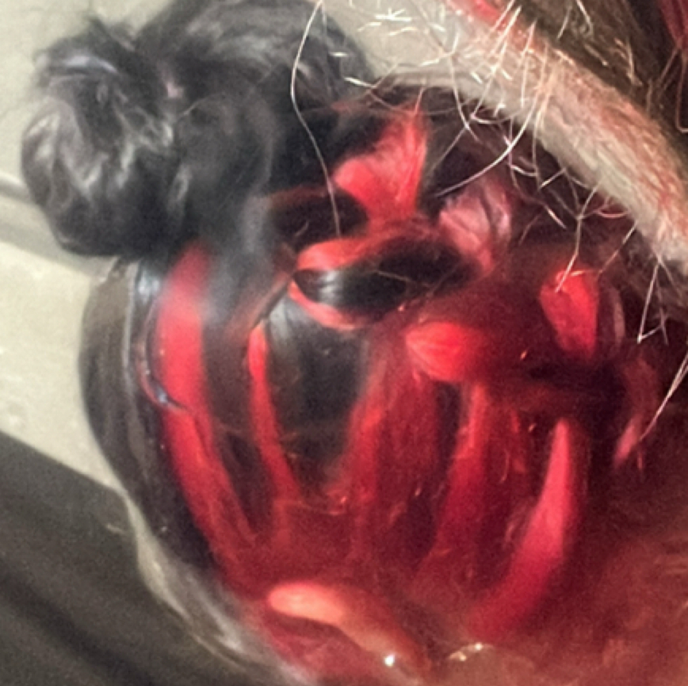 Peekaboo Hair at The Hair Duo in Texas City, TX