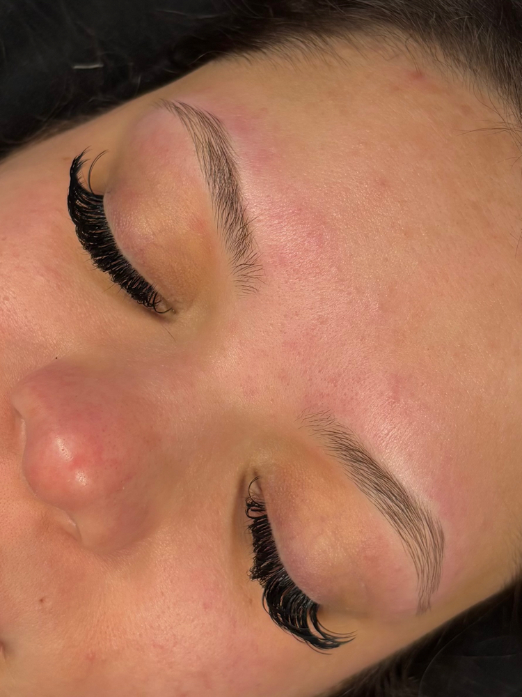 Brow Wax Only
