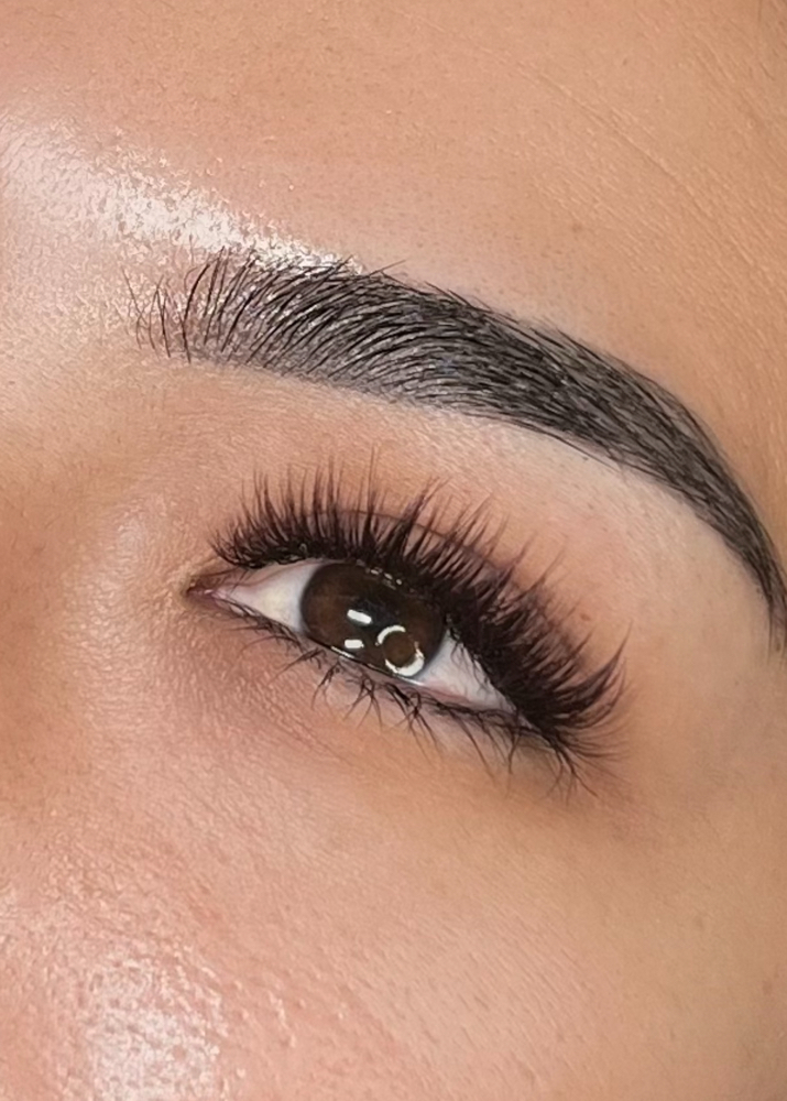 Volume Eyelash Extension