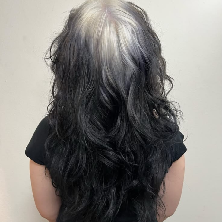 Root Cover / Touch Up at Simply Styled Hair in Lutz, FL