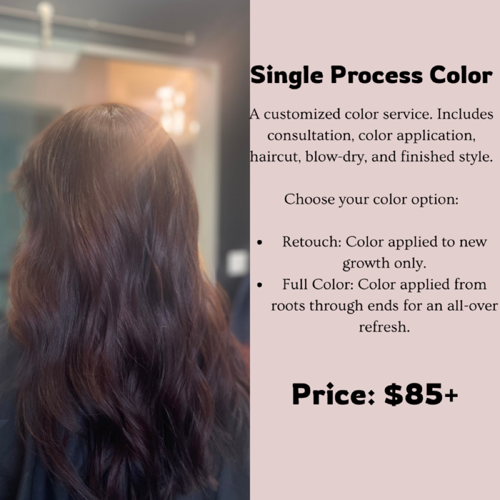 Single Process Color at Styling by Destiny in Portland, MI