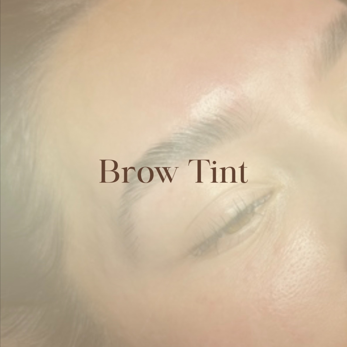 Brow Tint at Kat-Le Studio in Thousand Oaks, CA