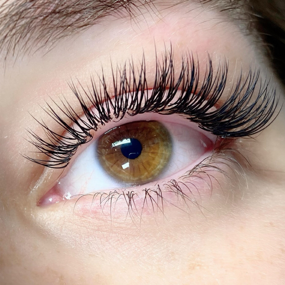 Classic Lash Full Set at Angy Beauty Salon & Spa in West Chester Township, OH