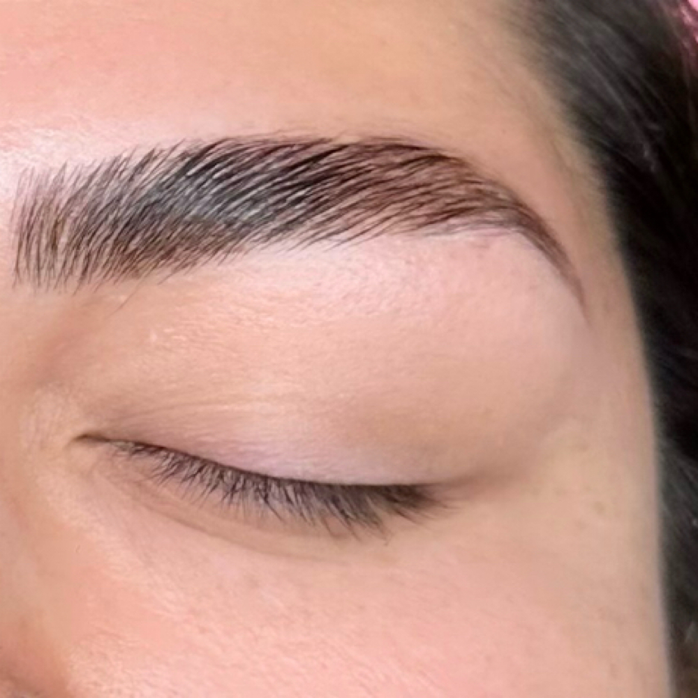 Brow Lamination + Wax + Tint at Eva Esthetics in Lowell AR, AR