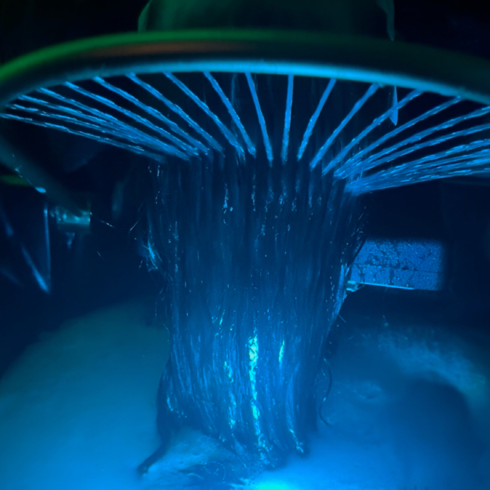 Deluxe Head Spa 60 Minutes at Hair by Megan Taylor in Benton, LA