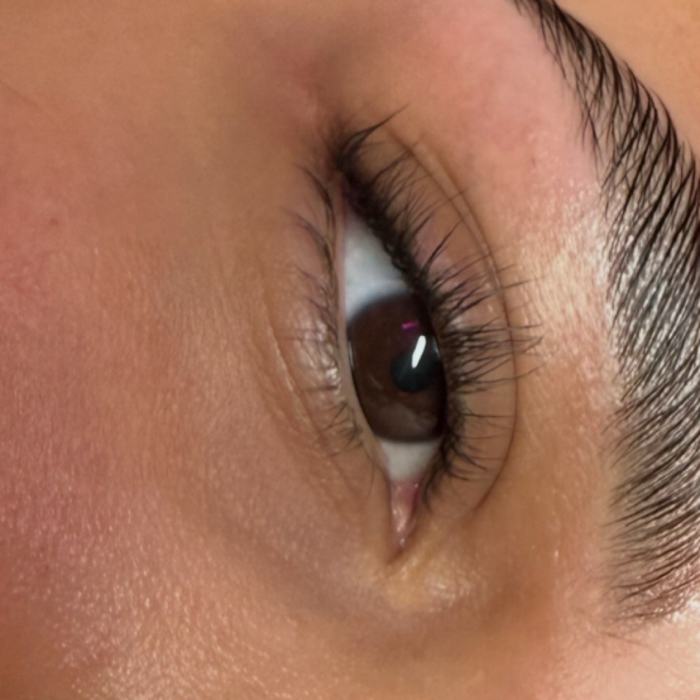 Lash Tint at Glow with Pho in Wilmington, MA