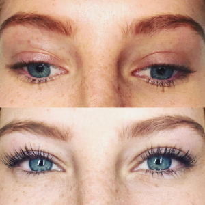 Lash/Brow Tint Combo