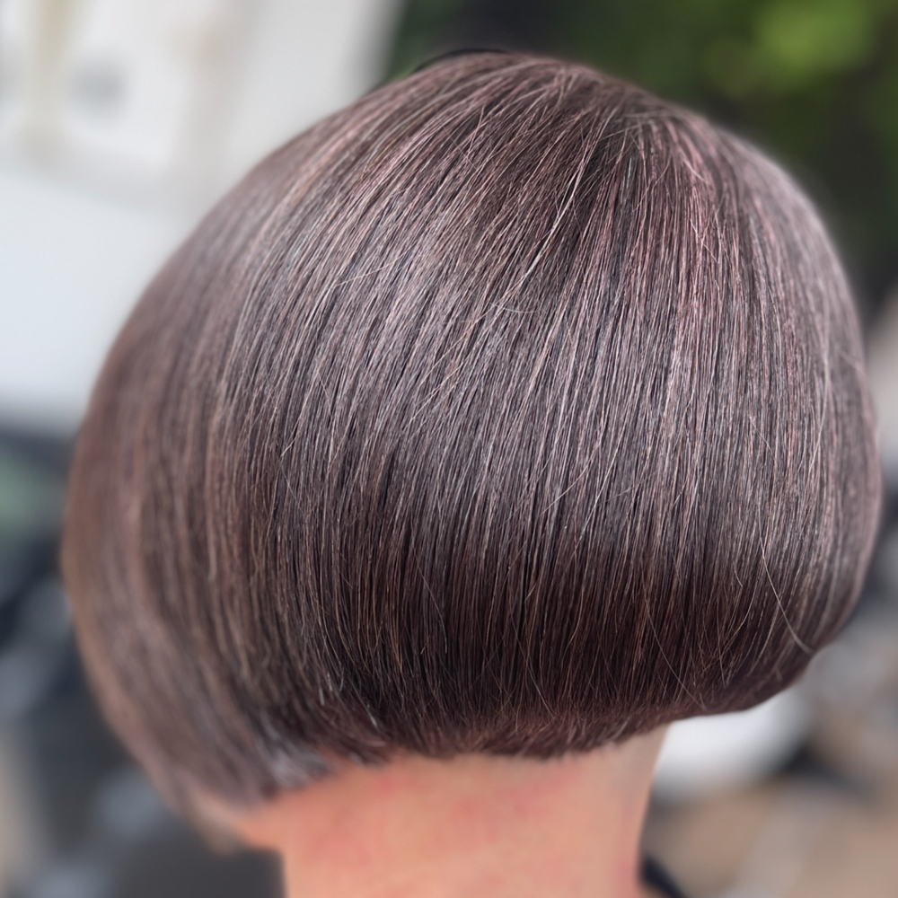 Gloss Toner and Blow Dry Finish.