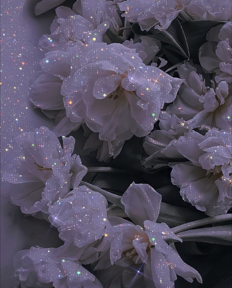 Gloss
