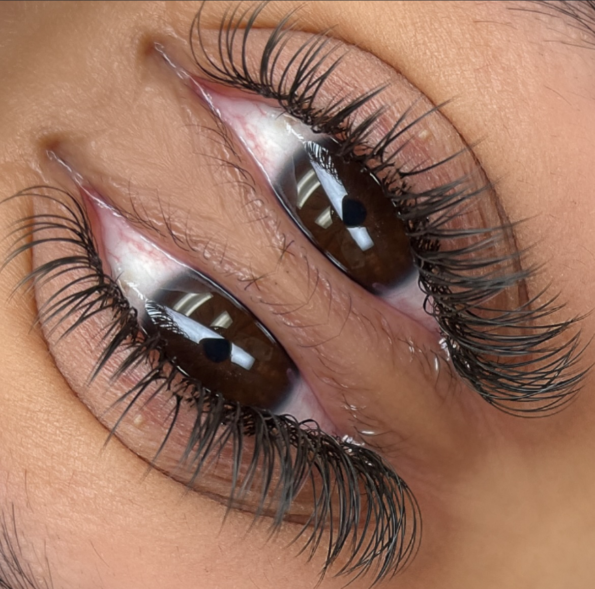 Classic New Set at Lash & Body Studio, LLC in Houston, TX