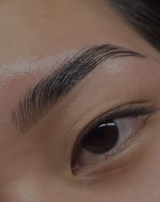 Brow Lamination Only at Nuyu Haus of Beauty in Houston, TX