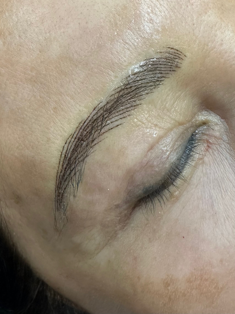 Nano Hairstroke Brows