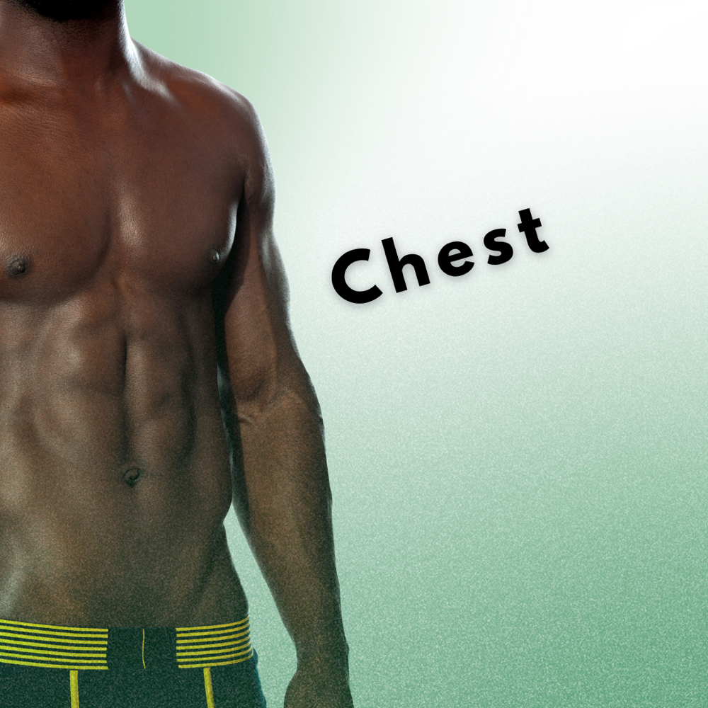 Chest