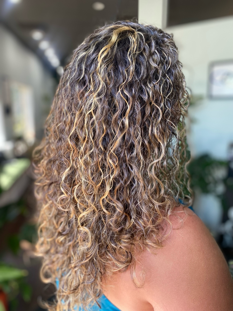 Whole Head Highlights