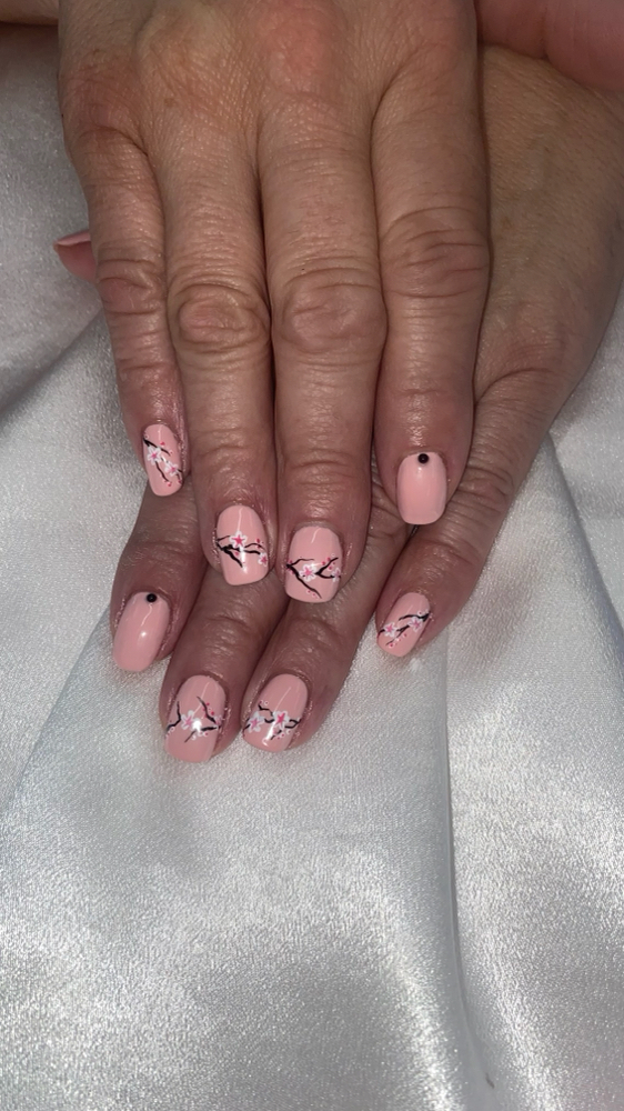 Shellac Manicure W Art