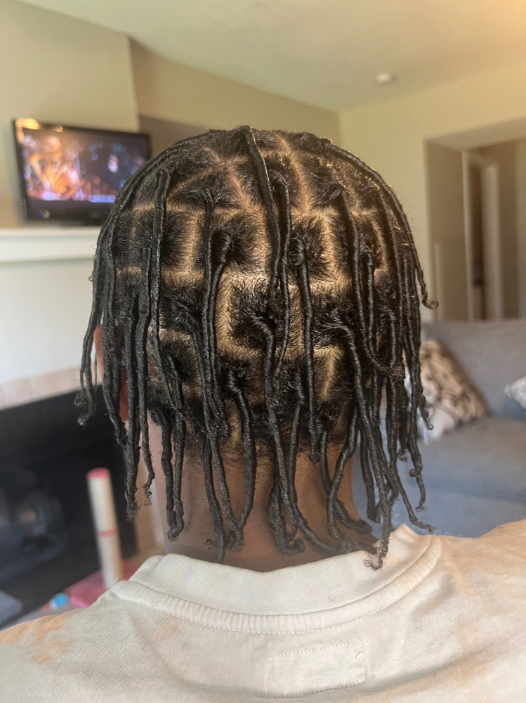 Starter Locs