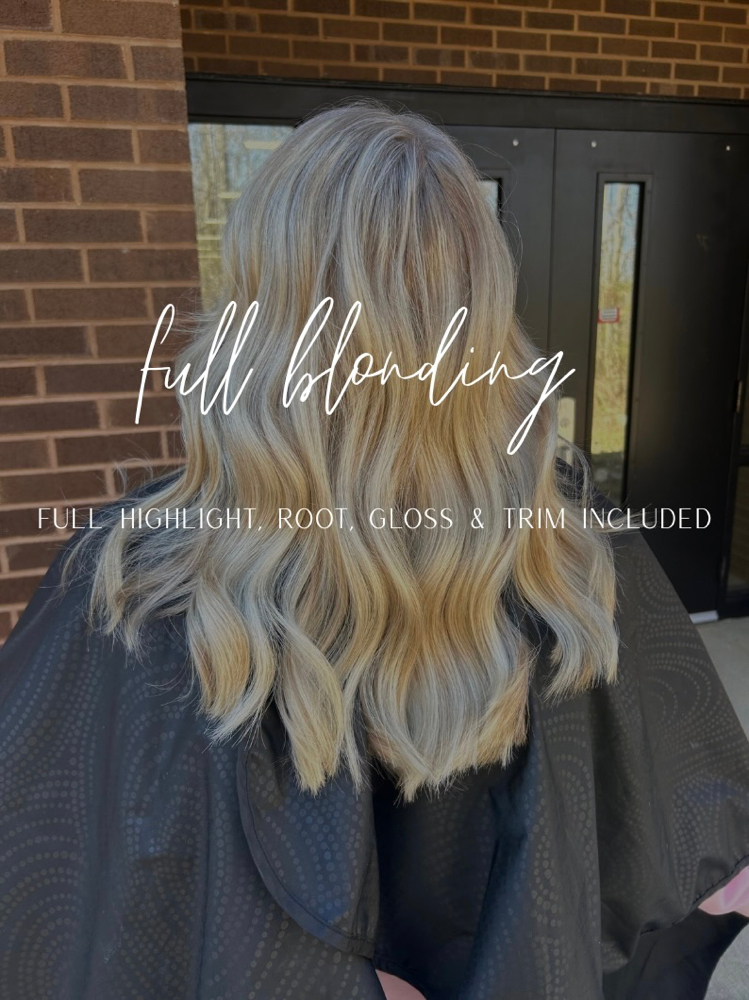 Full Highlight at Hair by Kenzie in Johnson City, TN