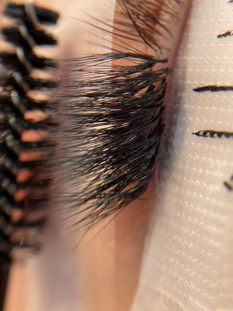 Lash Extensions Fill In (3 Weeks)