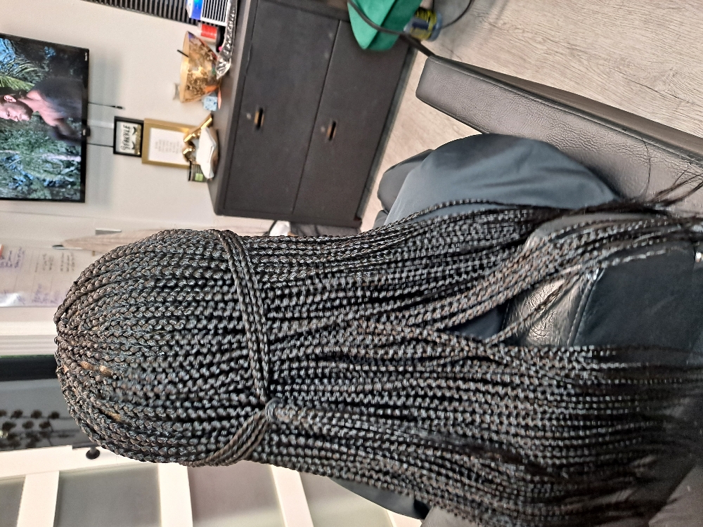 Small Box Braids at BRI'S LAVISH BRAIDS, LLC in Murfreesboro, TN