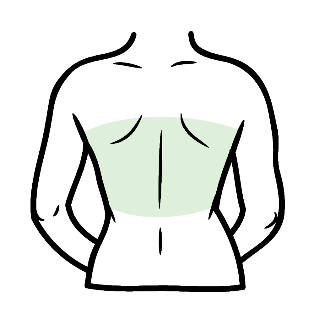 Mid Back