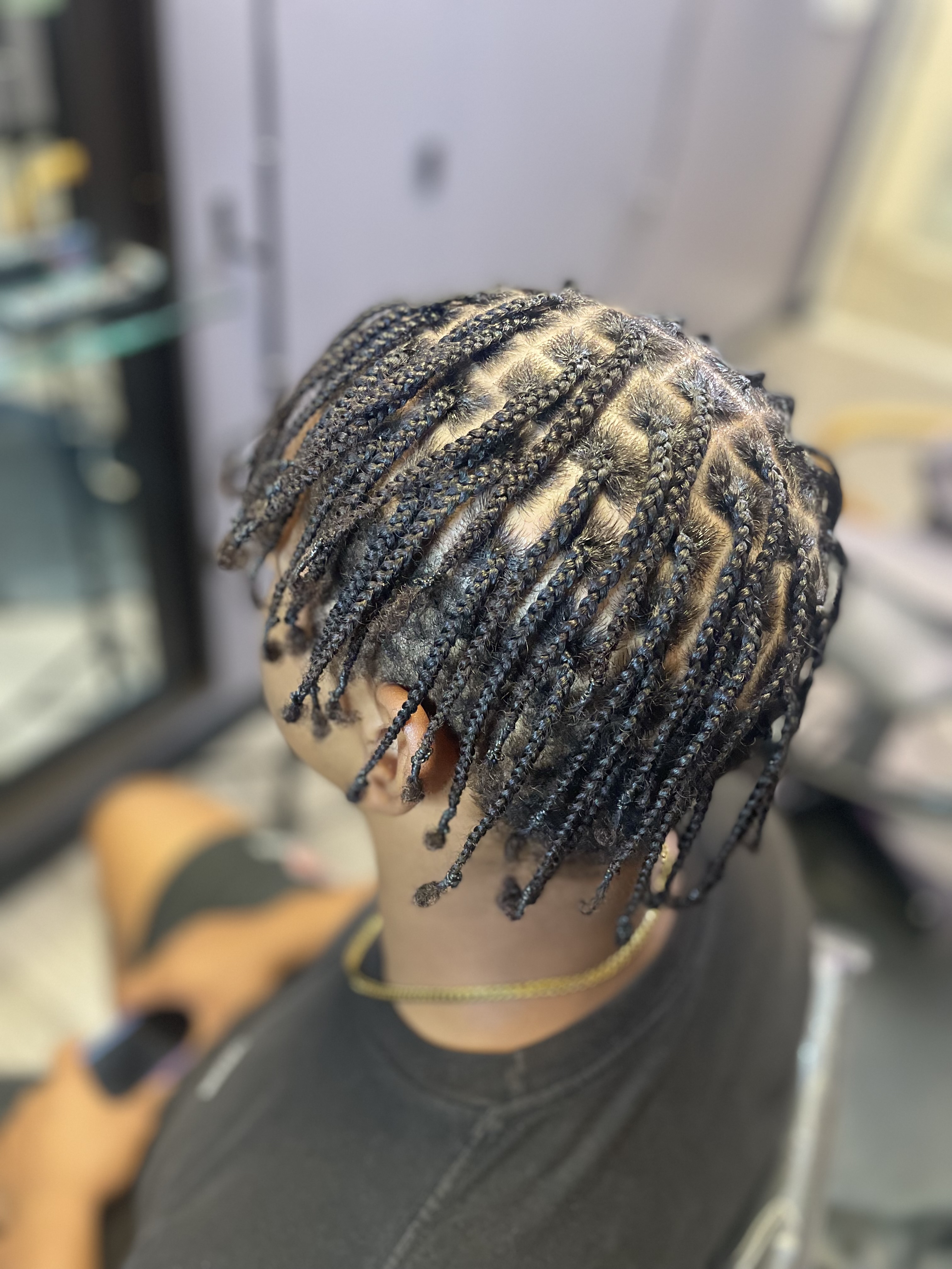 Single Braids: Plaits