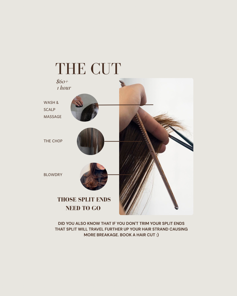The Cut