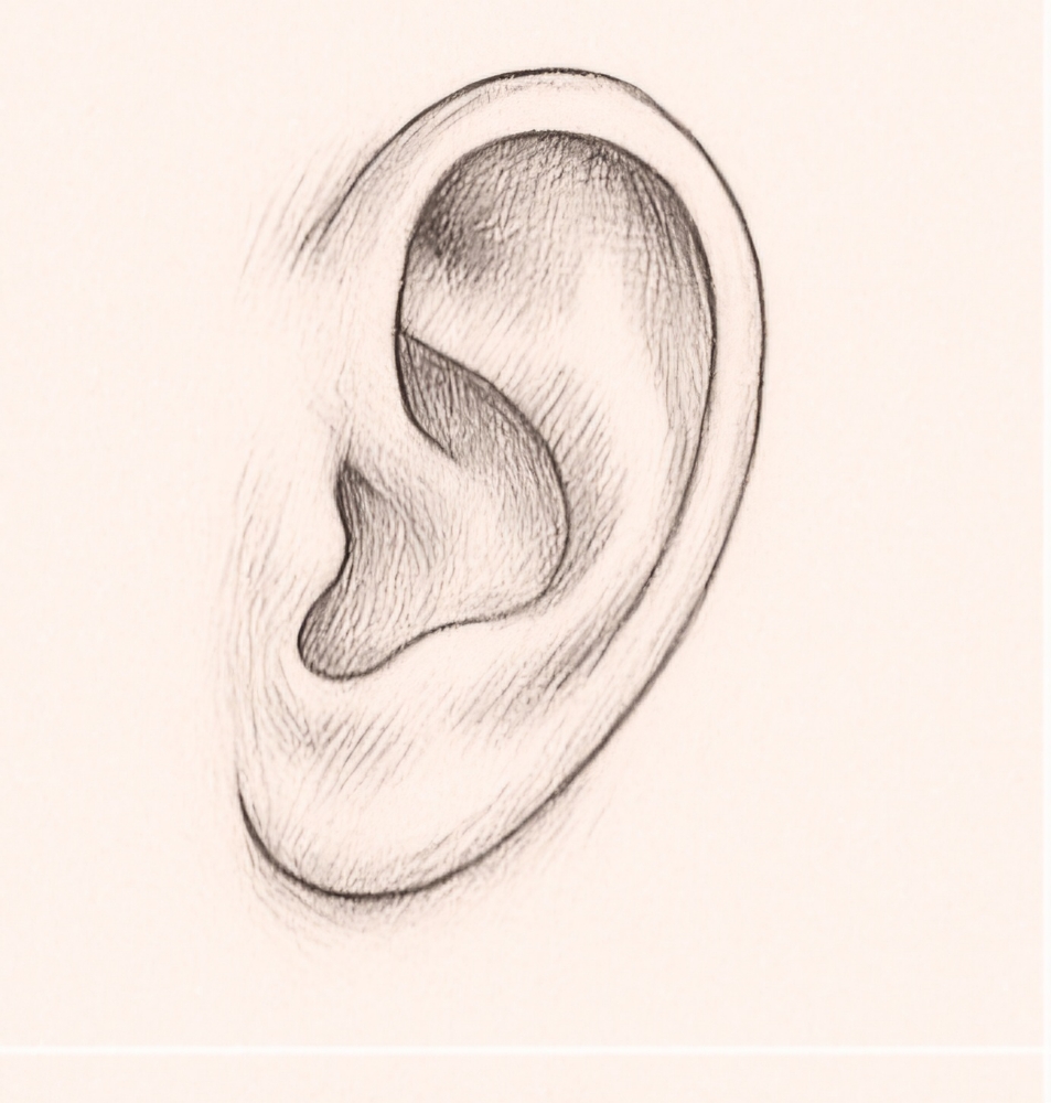 Ears