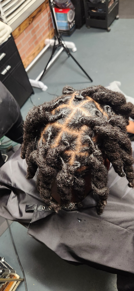 Retwist Dreads Short