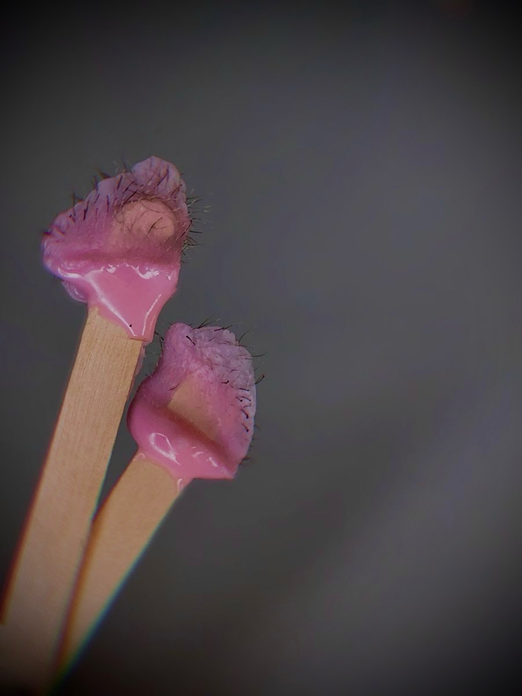 Nose Wax