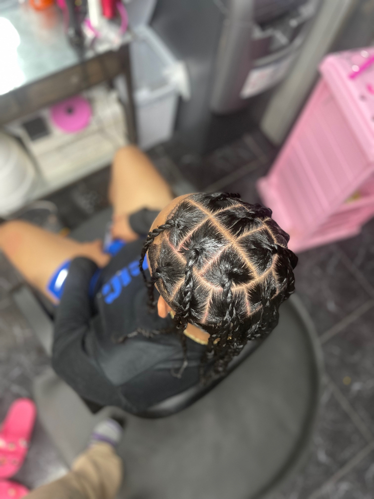 Two Strand Twist (Large)