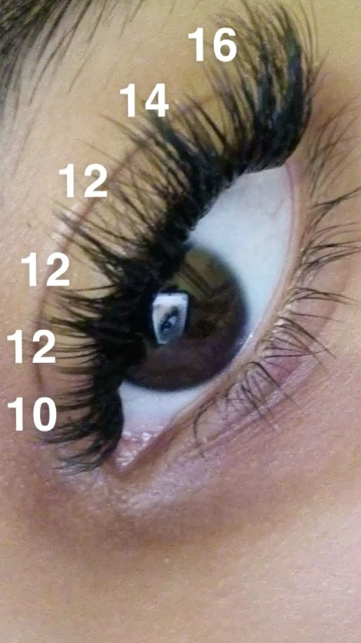 Express Cluster Lash Extensions