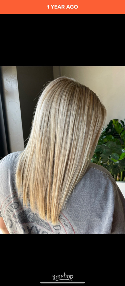 Highlights