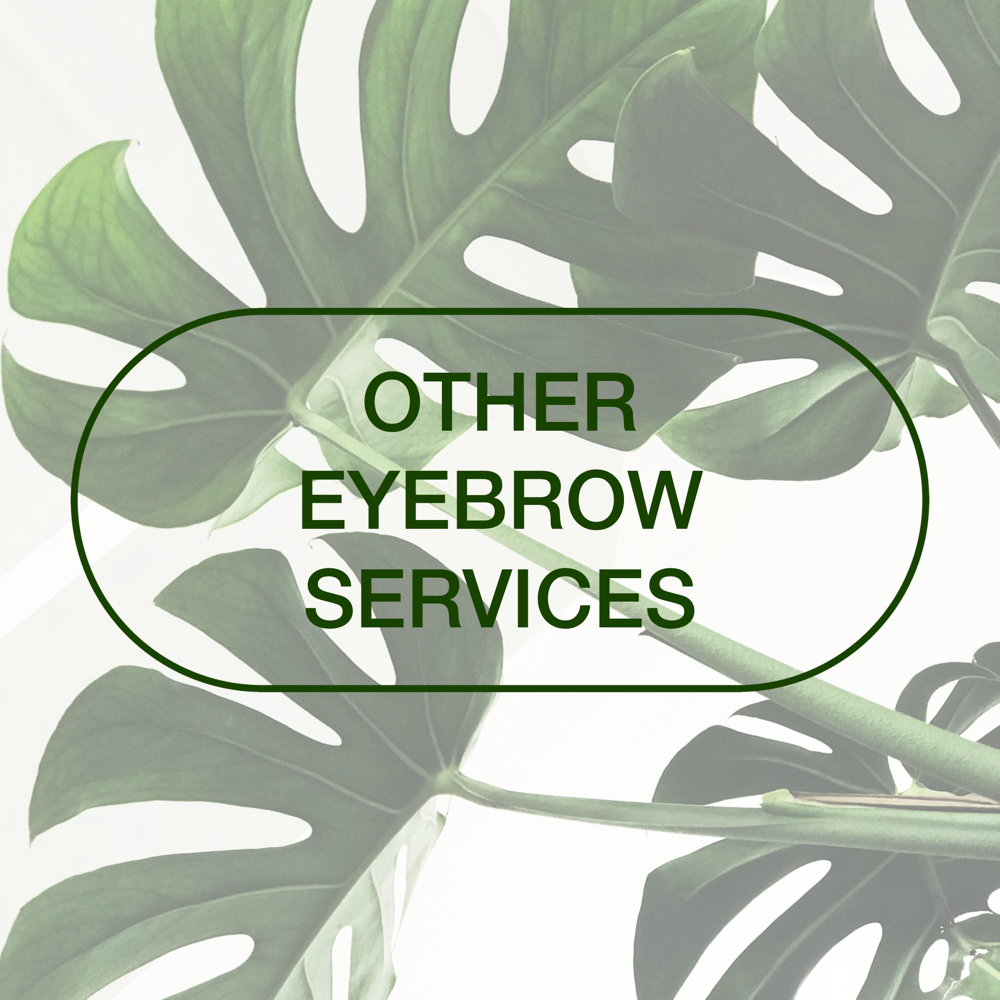 Eyebrows: Other Services