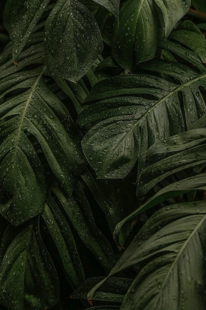 The Luxe Facial at Young Skin Co. in Gulf Breeze, FL